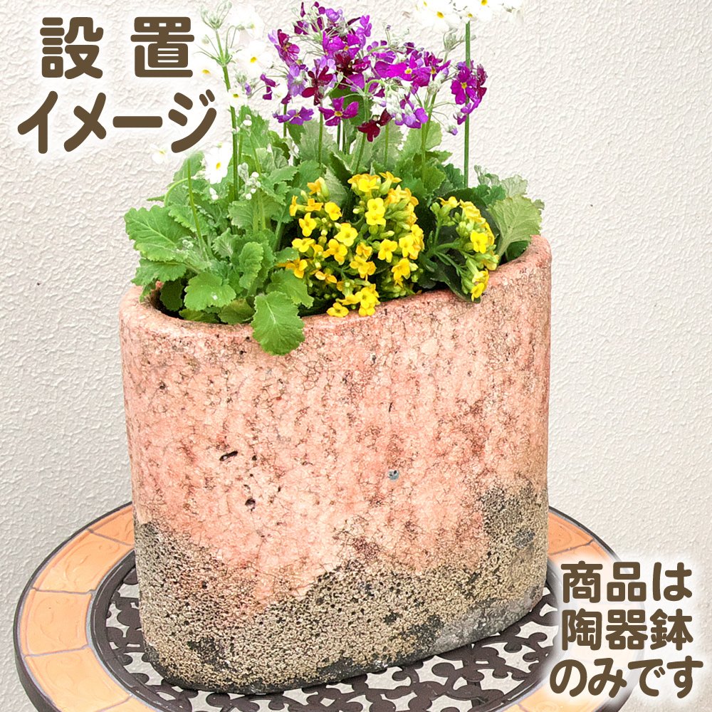 Amazon | ガーデンガーデン 陶器植木鉢 フォレストポット 3個セット 幅
